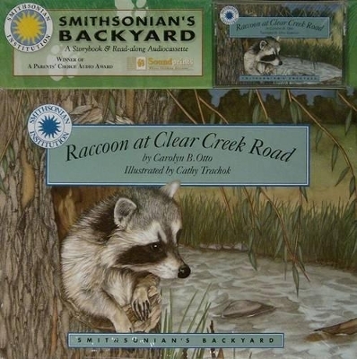 Raccoon at Clear Creek Road - Carolyn Otto