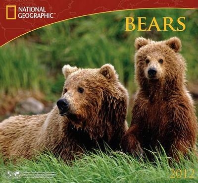 Bears - 