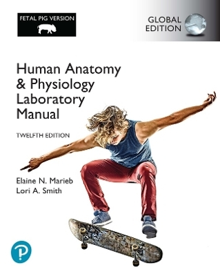 Human Anatomy & Physiology Laboratory Manual, Main Version Global Edition plus Pearson Mastering A&P with Pearson eText (Package) - Elaine Marieb, Lori Smith