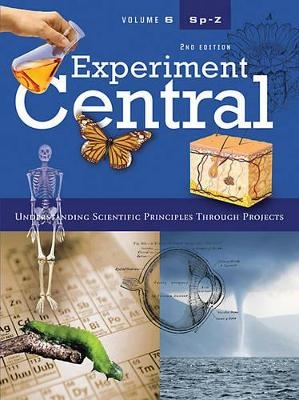 Experiment Central - M Rae Nelson, Kristine Krapp