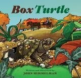 Box Turtle -  John Himmelman