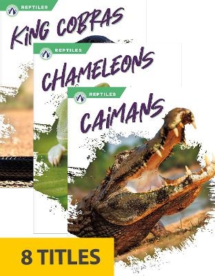 Reptiles (Set of 8)