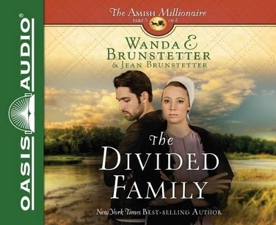 The Divided Family - Wanda E Brunstetter, Jean Brunstetter