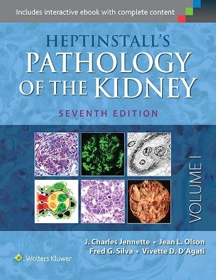 Heptinstall's Pathology of the Kidney - J. Charles Jennette, Vivette D. D'Agati, Jean L. Olson, Fred G. Silva