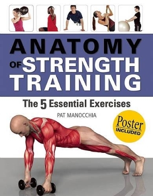 Anatomy of Strength Training - Pat Manocchia