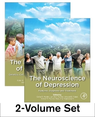 The Neuroscience of Depression - 