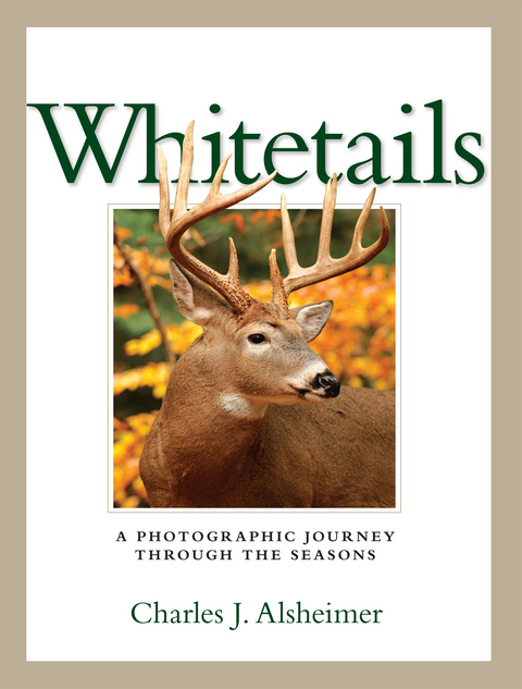 Whitetails -  Charles J. Alsheimer