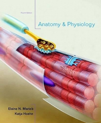 Anatomy & Physiology with Interactive Physiology 10-System Suite - Elaine N. Marieb, Katja Hoehn