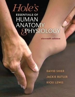 Combo: Hole's Essentials of Human Anatomy & Physiology with Anatomy & Physiology Revealed 3.0 Student Access Card - David N Shier, Jackie L Butler, Ricki Lewis,  The University Of Toledo