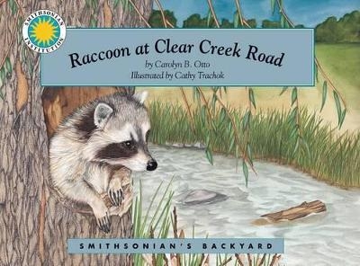 Raccoon at Clear Creek Road - Carolyn Otto