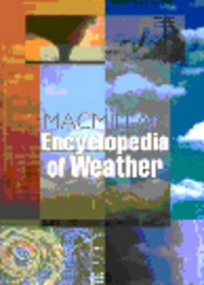 Macmillan Encyclopedia of Energy - 