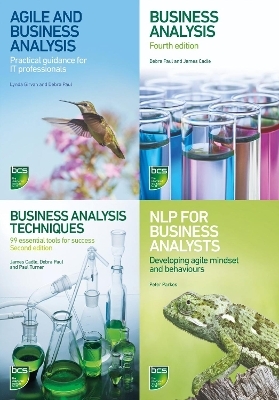 Professional Business Analysis bundle - Debra Paul, James Cadle, Paul Turner, Lynda Girvan, Peter Parkes