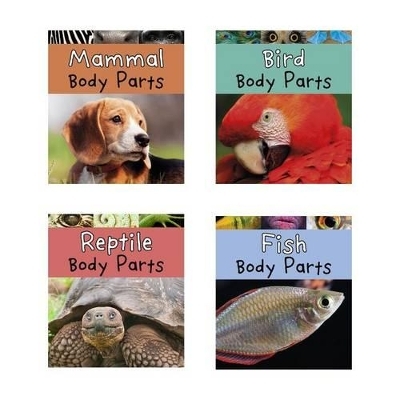 Animal Body Parts - Clare Lewis