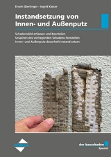 der bauschaden Spezial Instandsetzung von Innen- und Außenputz -  Erwin Gierlinger,  Ingrid Kaiser