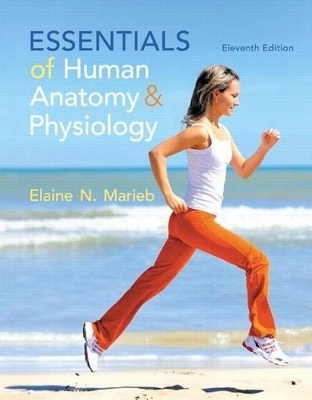 Essentials of Human Anatomy & Physiology Plus Masteringa&p with Etext -- Access Card Package - Elaine N Marieb