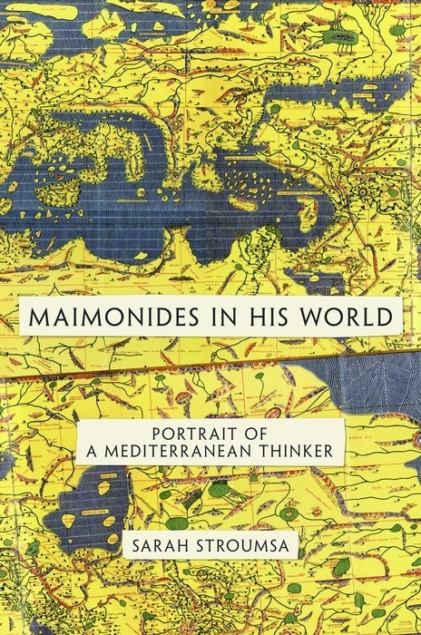 Maimonides in His World -  Sarah Stroumsa