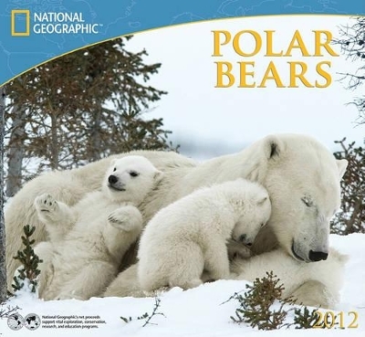 Polar Bears - 
