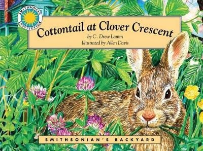 Cottontail at Clover Crescent - C Drew Lamm