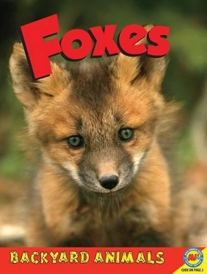 Foxes - Anita Yasuda
