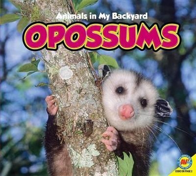 Opossums - Jordan McGill
