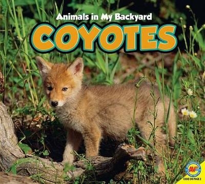 Coyotes - Jordan McGill
