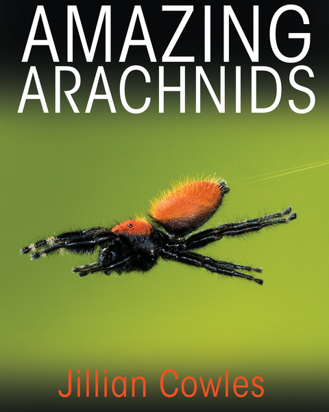 Amazing Arachnids -  Jillian Cowles