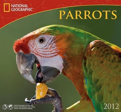 Parrots - 