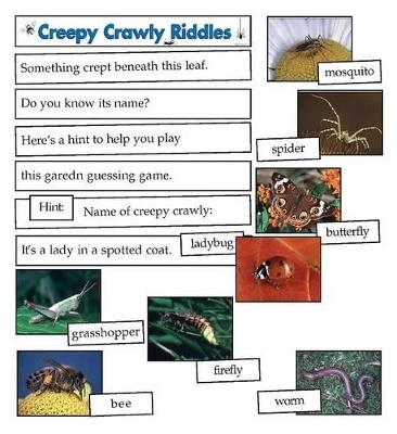 Scholastic Interactive Pocket Charts: Creepy Crawlies -  Scholastic Books, Inc. Scholastic