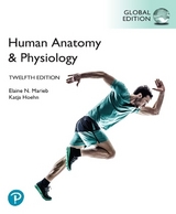 Human Anatomy & Physiology, Global Edition + Mastering A&P with Pearson eText (Package) - Marieb, Elaine; Hoehn, Katja