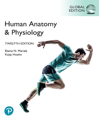 Human Anatomy & Physiology, Global Edition + Mastering A&P with Pearson eText (Package) - Elaine Marieb, Katja Hoehn
