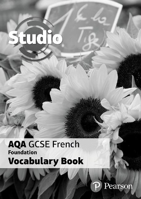 Studio AQA GCSE French Foundation Vocabulary Book (pack of 8)