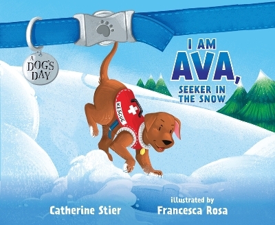 I Am Ava, Seeker in the Snow - Catherine Stier