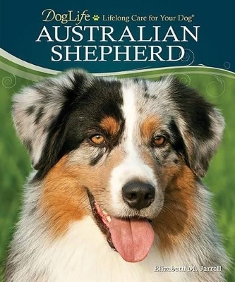 Australian Shepherd - Elizabeth M Jarrell