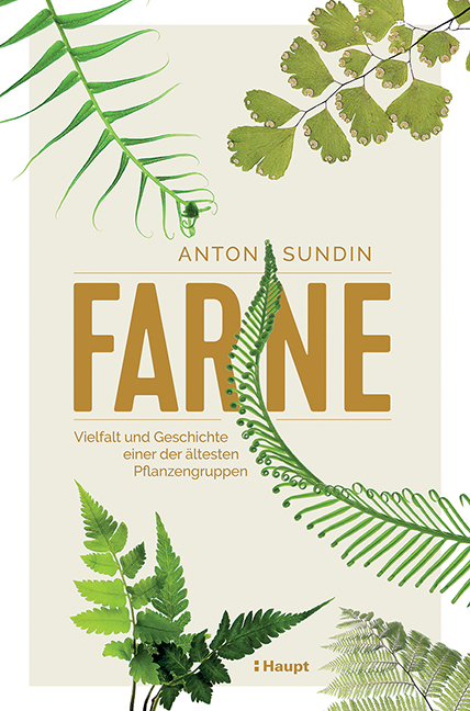 Farne - Anton Sundin