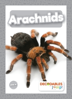 Arachnids - Joanna Brundle