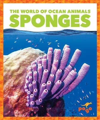 Sponges - Mari C Schuh