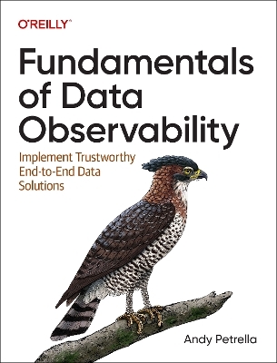 Fundamentals of data observability - Andy Petrella