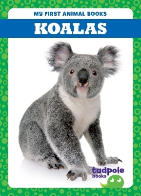 Koalas - Natalie Deniston