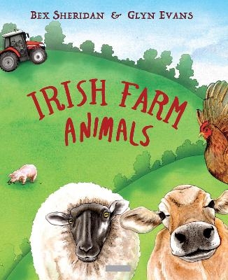 Irish Farm Animals - Glyn Evans, Bex Sheridan