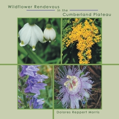 Wildflower Rendevous in the Cumberland Plateau - Dolores Reppert Morris