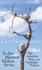 In den Bäumen blühen Steine - Cees Nooteboom