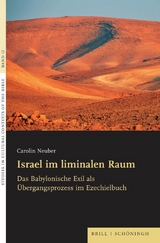 Israel im liminalen Raum - Carolin Neuber