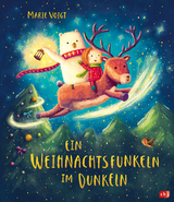 Ein Weihnachtsfunkeln im Dunkeln - Marie Voigt