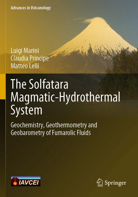 The Solfatara Magmatic-Hydrothermal System - Luigi Marini, Claudia Principe, Matteo Lelli