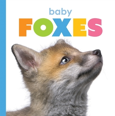 Baby Foxes - Kate Riggs