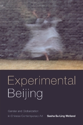 Experimental Beijing - Sasha Su-Ling Welland