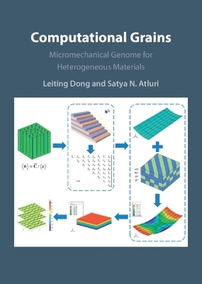 Computational Grains - Leiting Dong, Satya N. Atluri