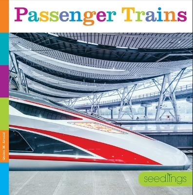 Passenger Trains - Quinn M Arnold