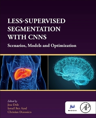 Less-Supervised Segmentation with CNNs - 