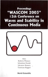 WAVES & STABILITY IN CONTINUOUS MEDIA - 